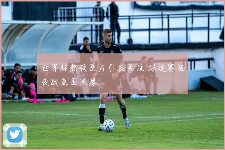 世界杯熬夜图片引发关注 球迷赛场夜战氛围浓厚