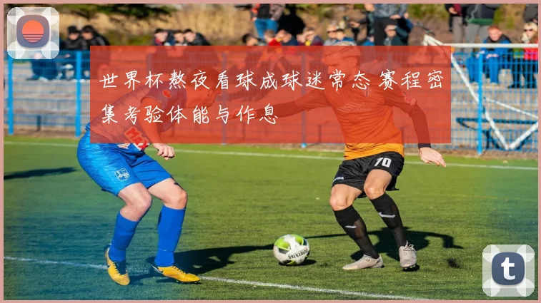 世界杯熬夜看球成球迷常态 赛程密集考验体能与作息